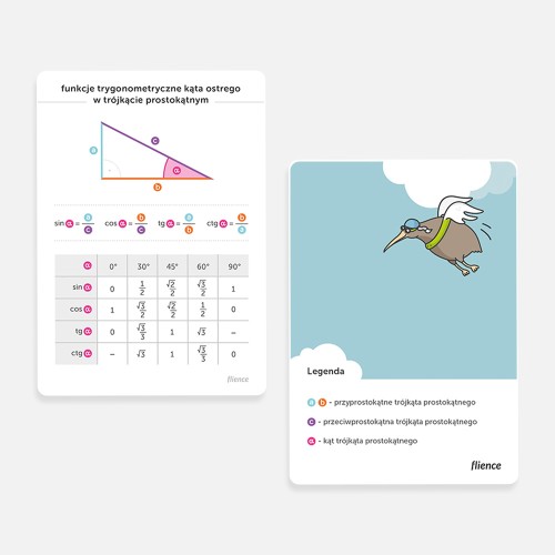 shop_mockup_values-of-trigonometric-function-for-a-right-triangle_pl.jpg